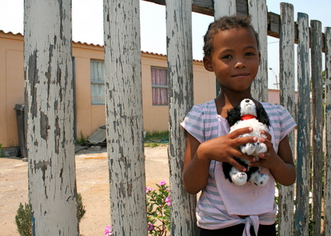 Dog Meets World South Africa